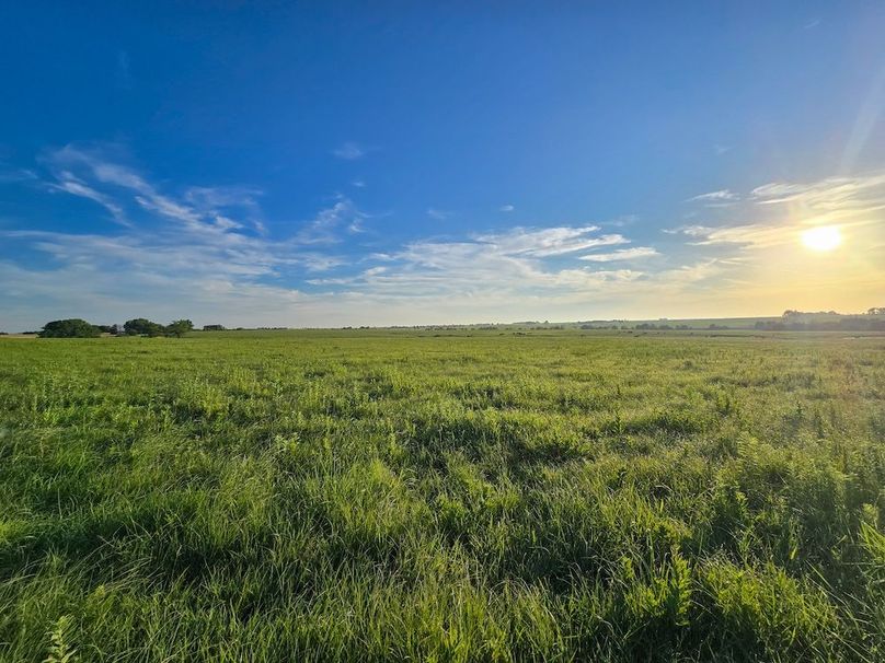 Copy of 20250625_065354