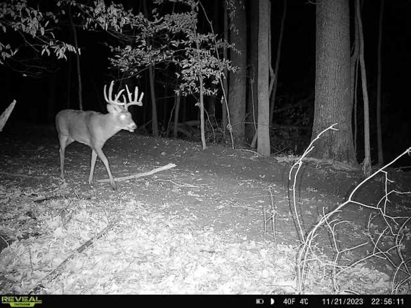 -7002079160854463906