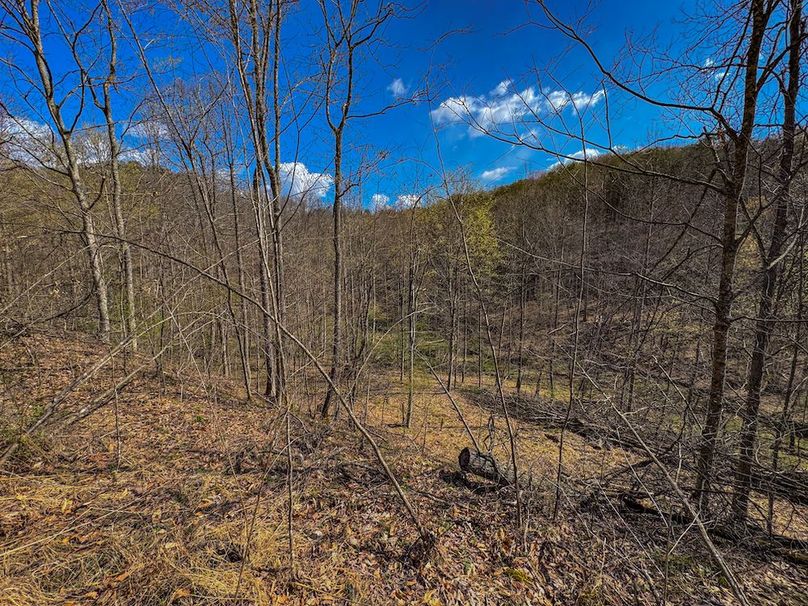 Wirt, WV 156.941 AC Full-25