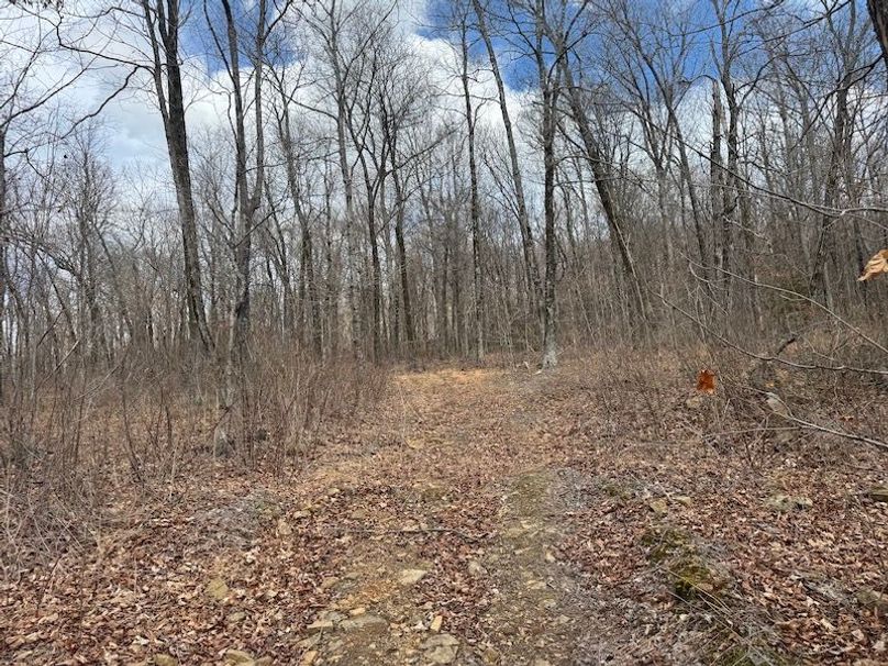 stone8020260306_0081