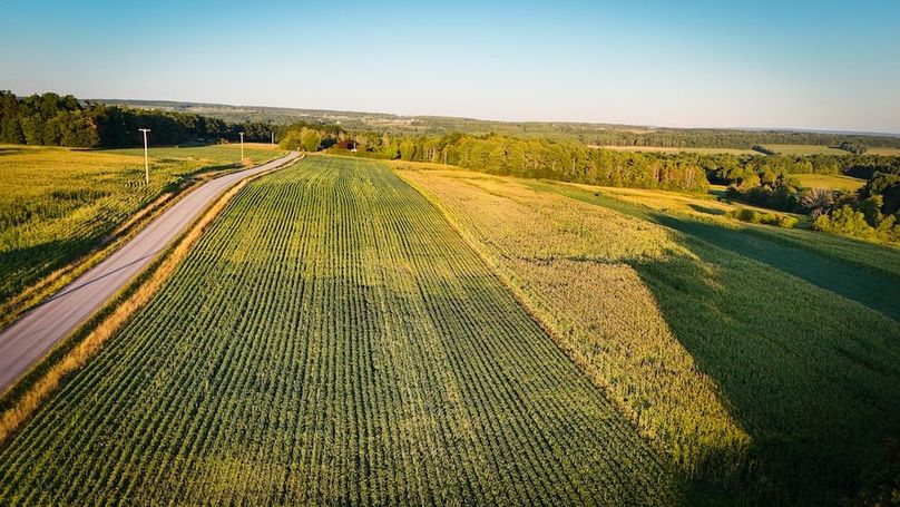 Copy of Wood Tract 4 Photo 2