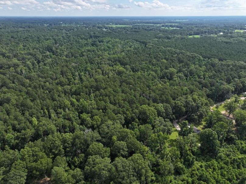 dji_fly_20250624_100838_0141_1750950814141_photo