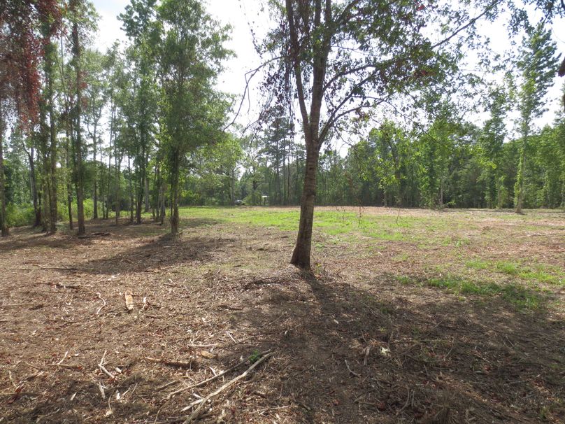 9CFCE9CD-B480-449E-8EC1-6B60F82C2AC1