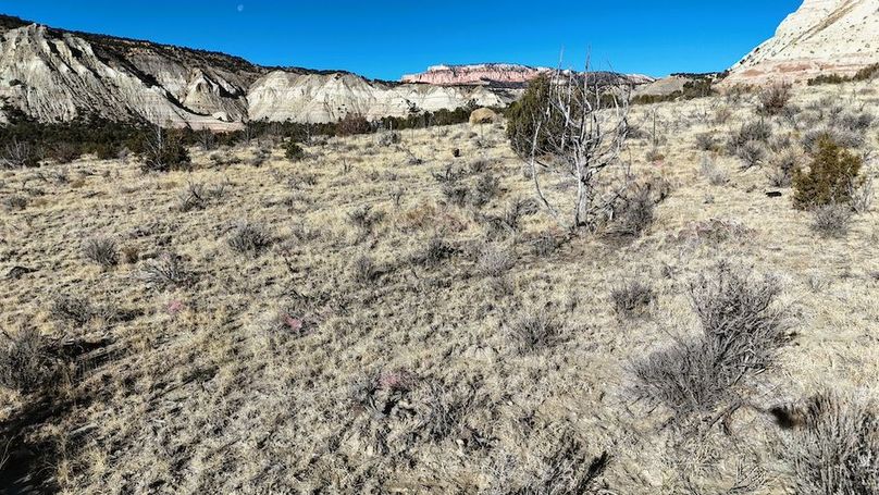 DJI_20241219101722_0054_D