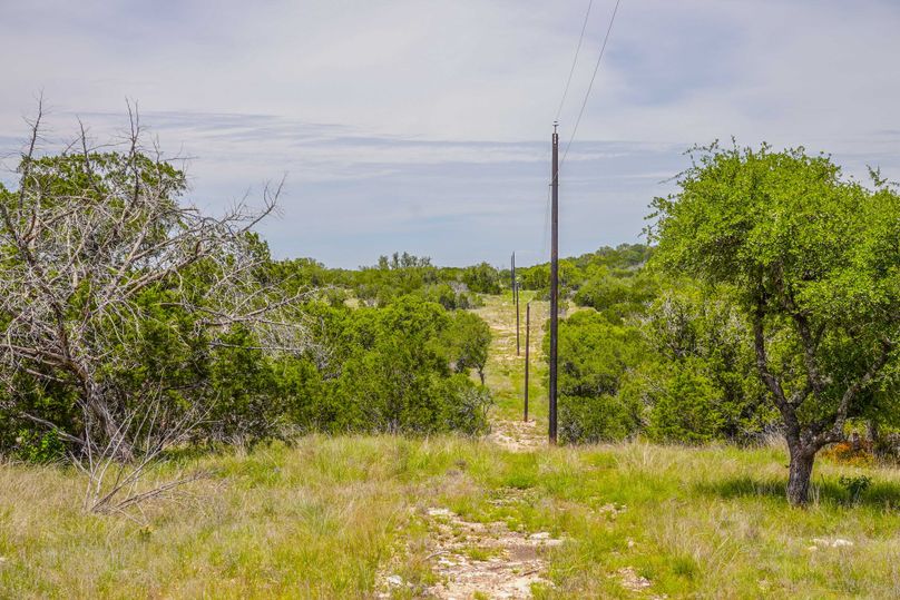 lonestar-8