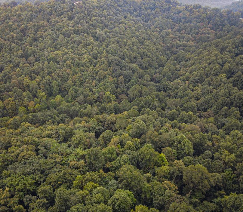 dji_fly_20230907_074458_82_1694087149447_photo