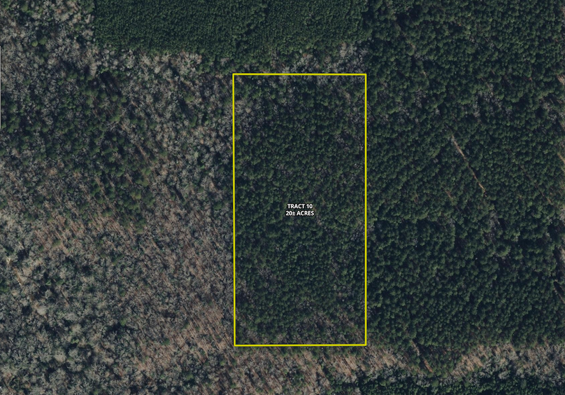 Union_Lafayette Co, AR 1779.aerial.Tract 10