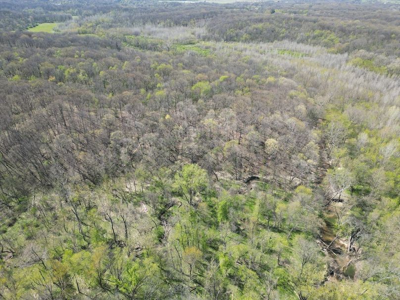 DJI_0233