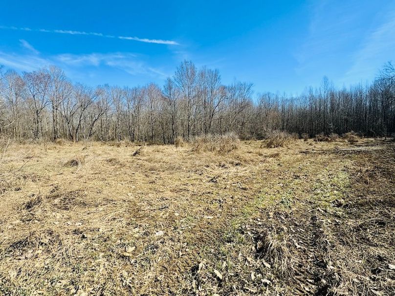 32 CRP Bottom Plot