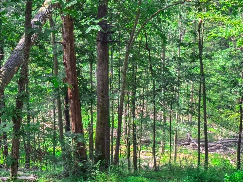 Lewis, WV 105 AC Miller-69