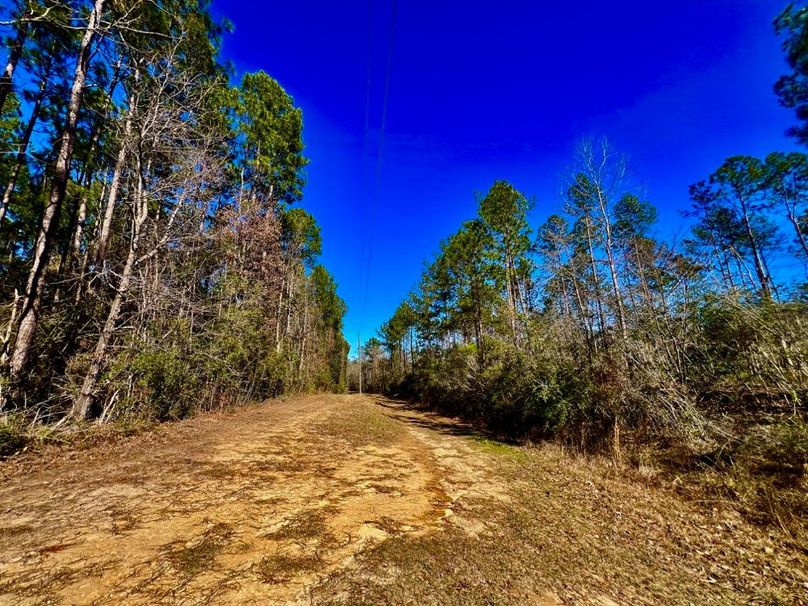 327CF29B-1A83-47C1-8D9E-DEB7CBD13E75_1_201_a