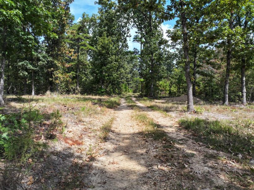 DJI_20250915130526_0669_D