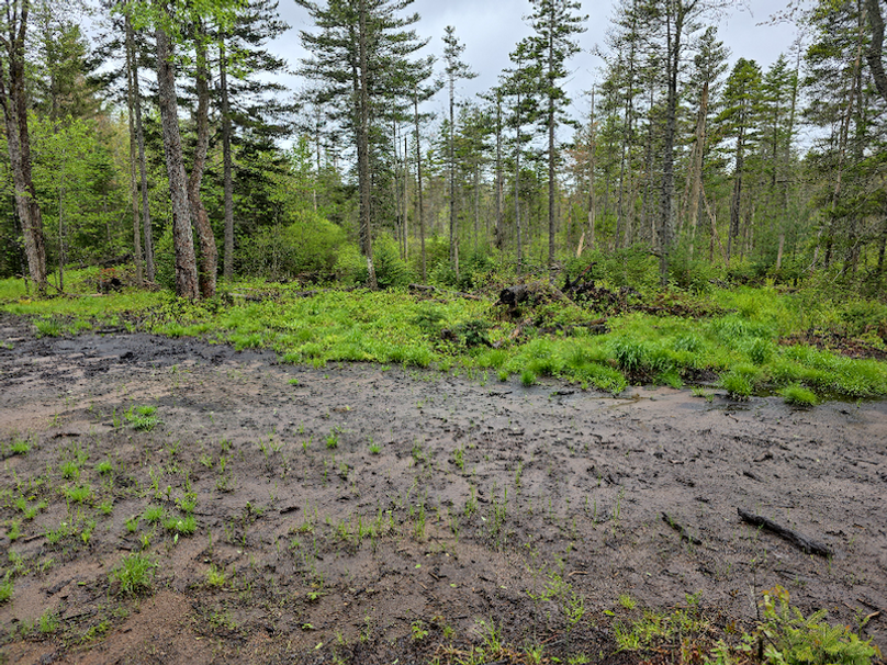 photo_b679e9da-3417-4859-b583-02ee358a9461