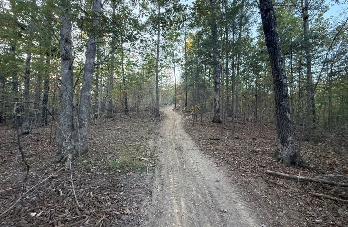 005 some of the open trail system leading about the property