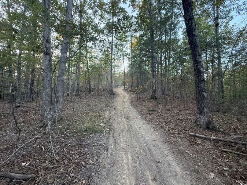 005 some of the open trail system leading about the property