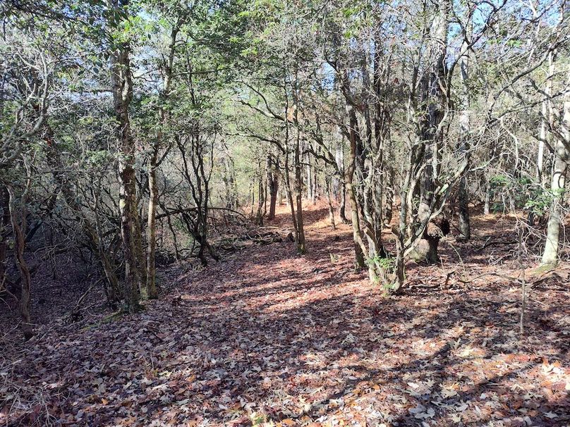 IMG_20251124_103355796_HDR