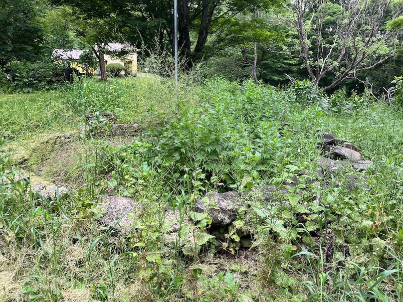 Chemung_116.3_Stamm Photo 16