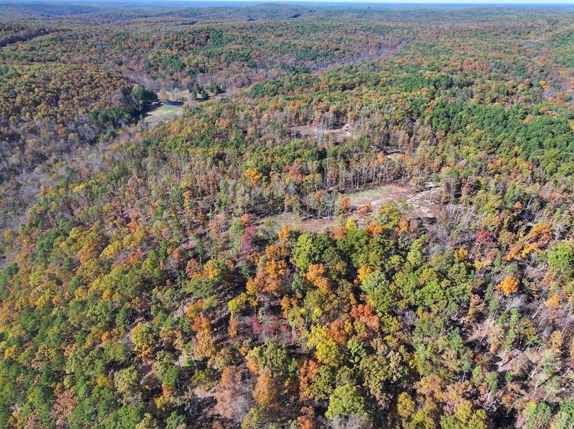 DJI_20251104130215_0835_D