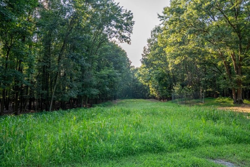 Franklin 59.85_041-2