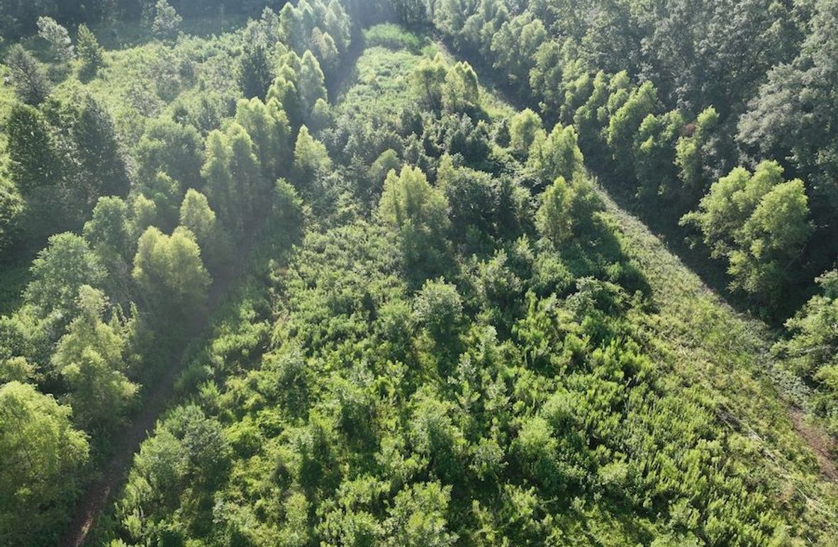 dji_fly_20240822_095504_789_1724354680898_photo