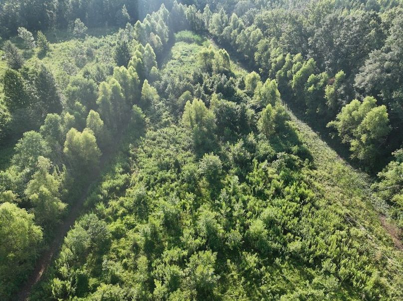 dji_fly_20240822_095504_789_1724354680898_photo