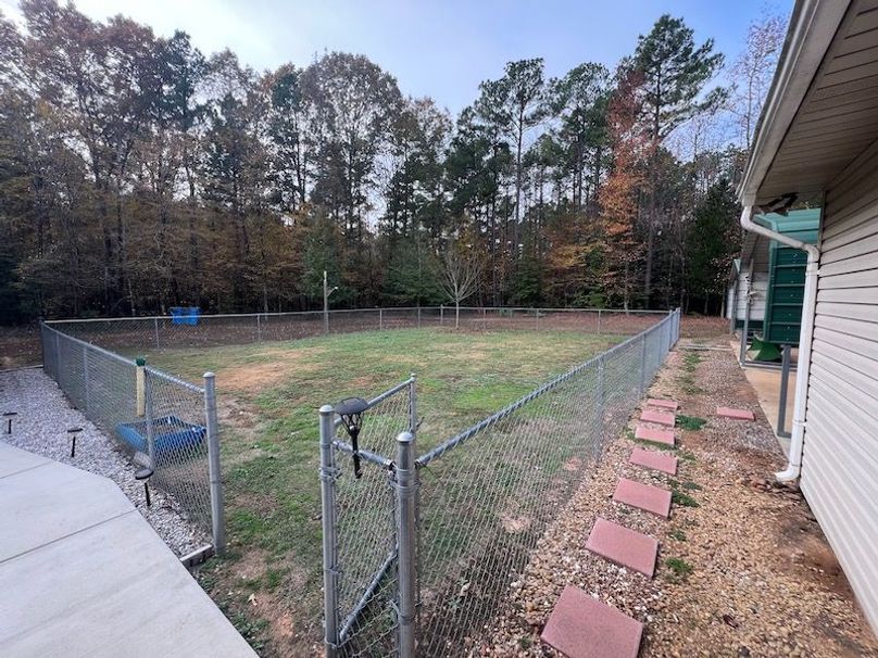 Dal_40_Denton20251117_0375