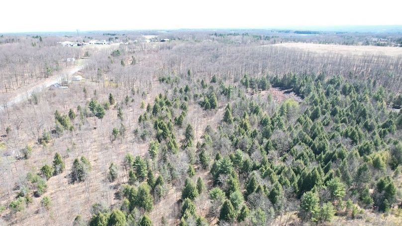 dji_fly_20250417_113420_148_1744904160178_photo