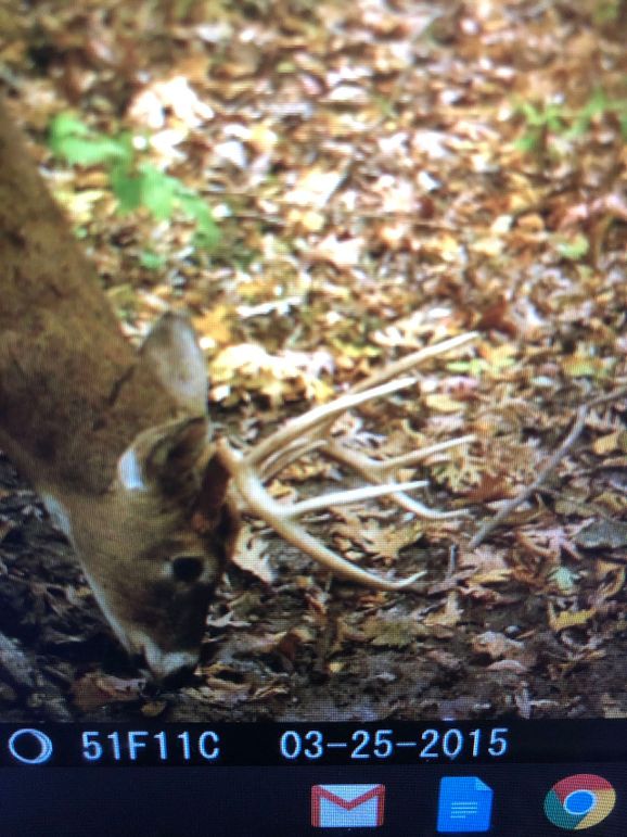 59486899157__35EA0C1D-8CBC-4CCF-8174-C4669C1B8B6D