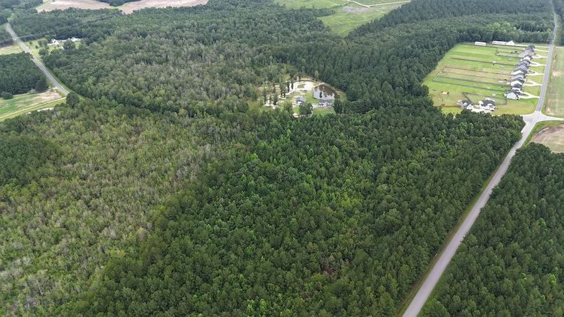 dji_fly_20250715_110852_0587_1752592284927_photo