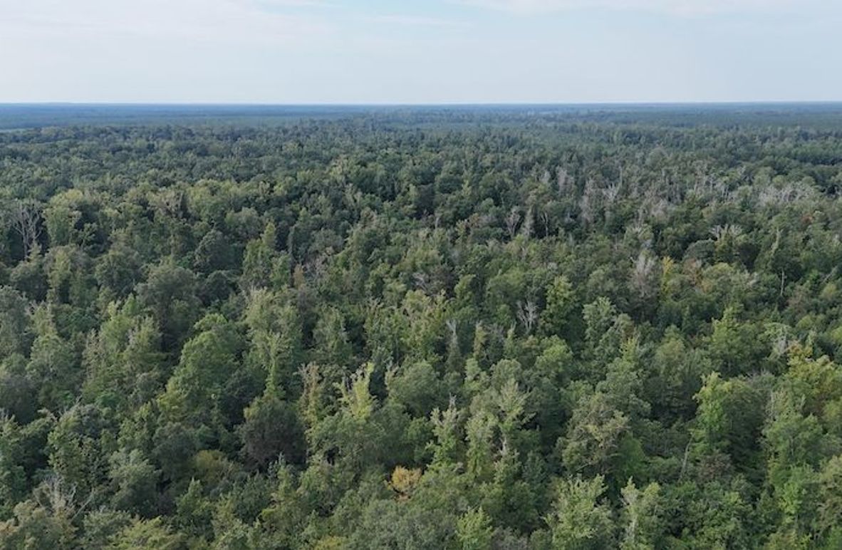 DJI_20250814092021_0064_D