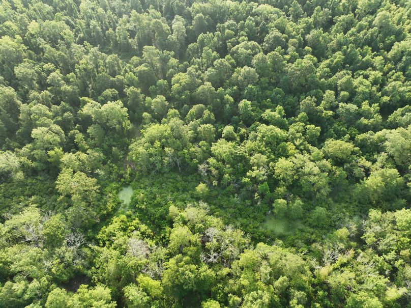 dji_fly_20230630_080810_196_1688137777662_photo