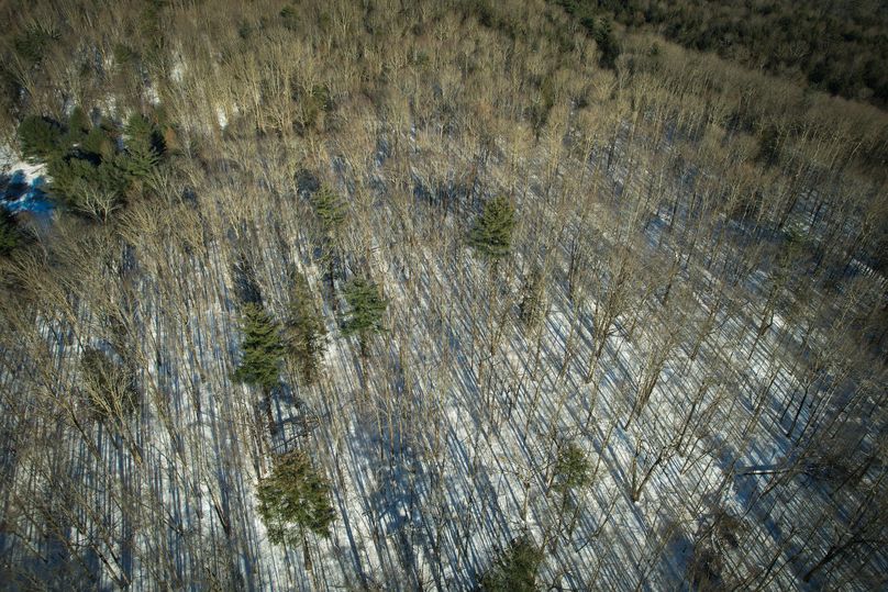 Tioga_11.9_Kilroy_Photos_27