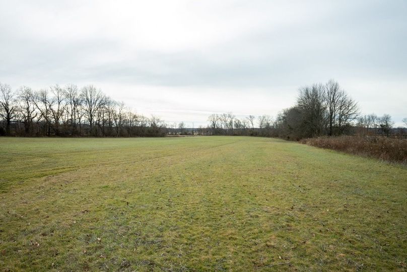 Copy of DSC00767 Large