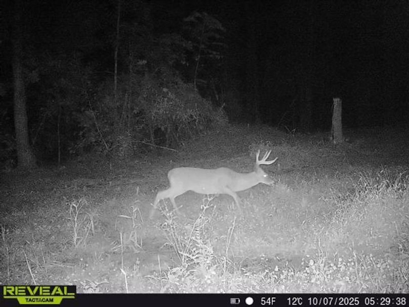 862515041535786-50-5-10072025052938-W1006963