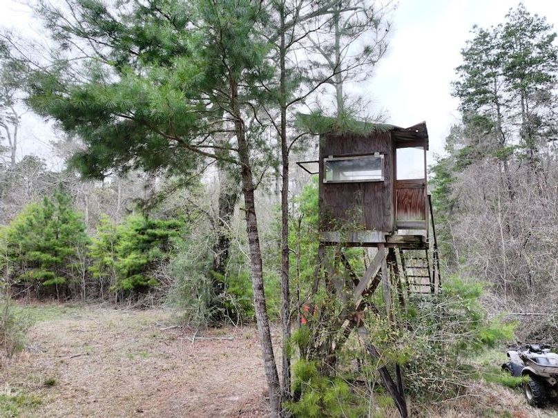 dji_fly_20260123_130858_0931_1769444778694_photo