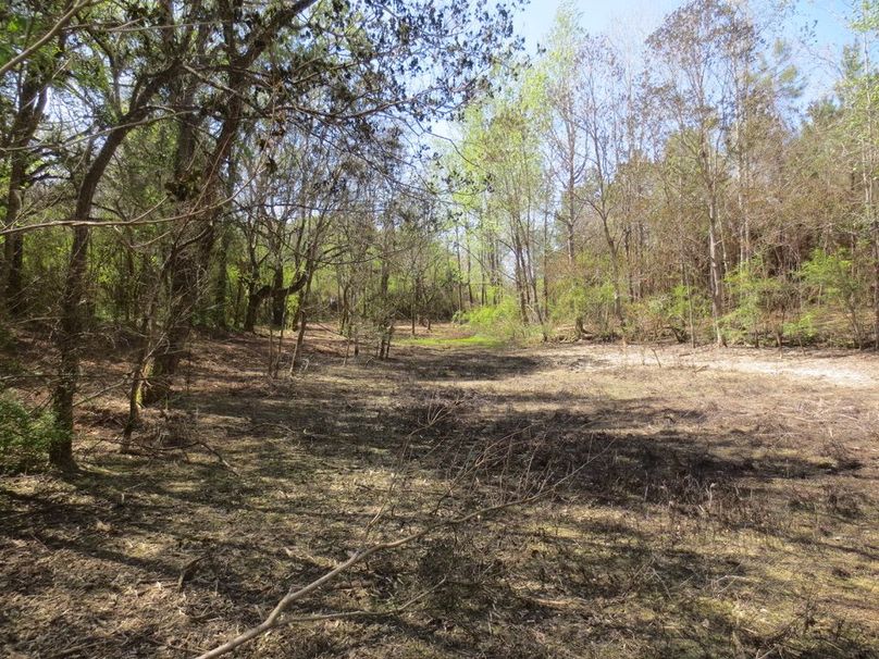 DBB6D68A-AA25-4F9D-BF17-FA4723C8111A_1_105_c