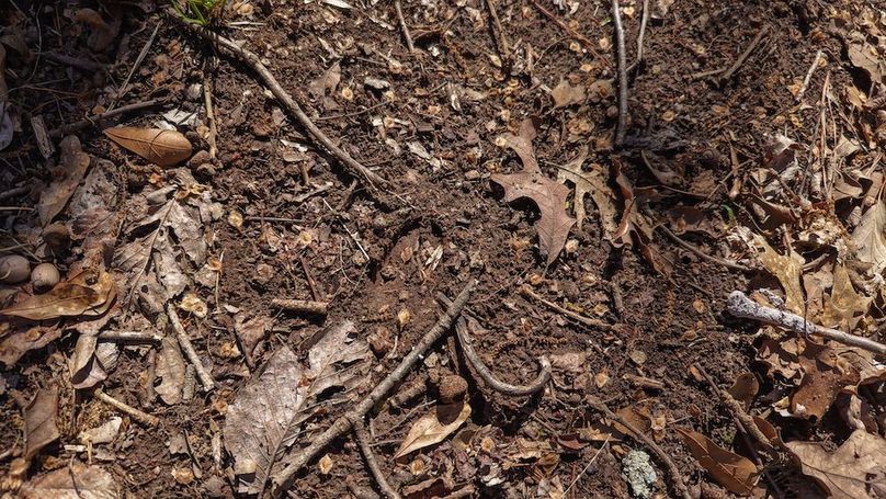 DJI_20260311012743_0046_D