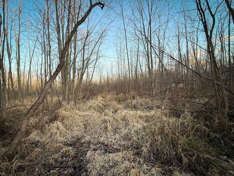 Wayne_29.09_BD_LandNorth_Parcel_21