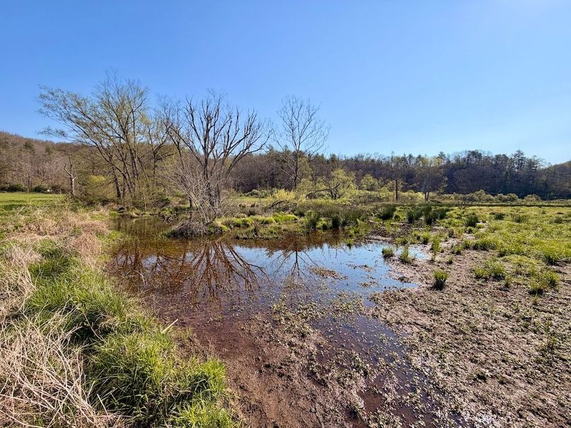 Scott Co TN 286 Keeton_055