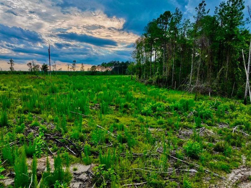 16BF8960-D362-4ECC-AB6F-FAF686DE2BC9_1_105_c