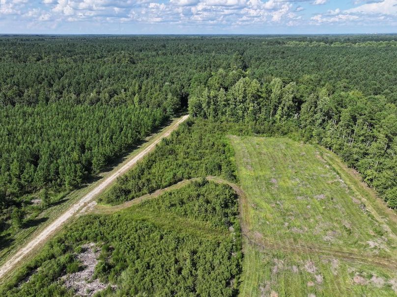 DJI_20240820164237_0027_D