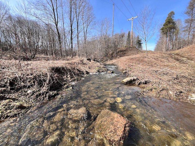 Lewis_26_Somberg Photo 29