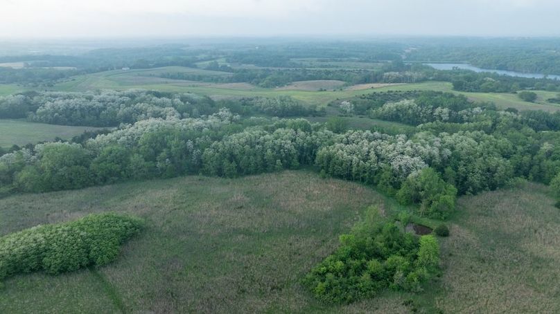 DJI_0268