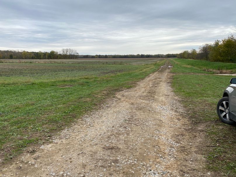 pics from late 2021 and early 2022. New plots being planted in Aug 2023 for new pics (4)