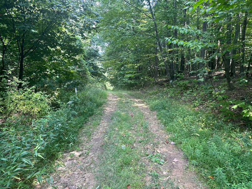 F6CAEFC2-B968-4CDB-9480-57DE5F06313B_1_105_c