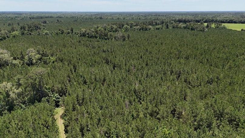 dji_fly_20250528_020438_0045_1748386798660_photo