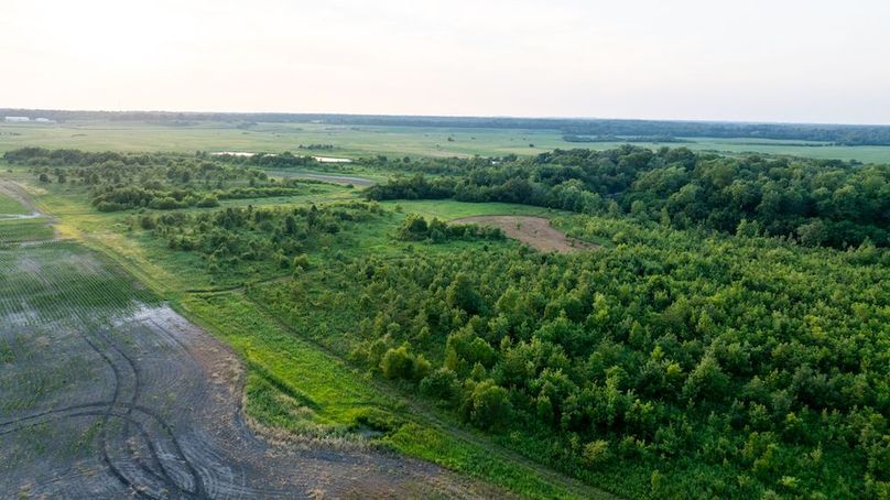 DJI_20250808063128_0070_D