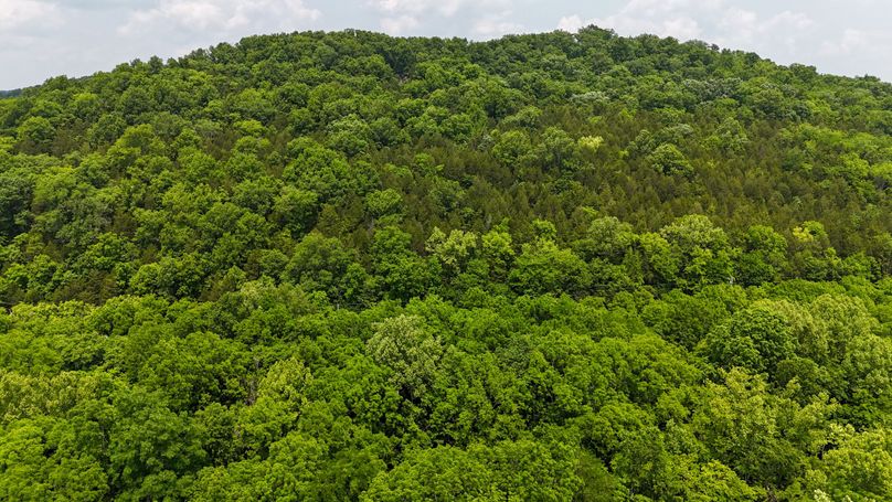 DJI_20250604132317_0006_D