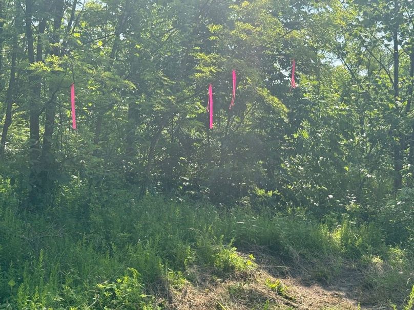 014 marker points along the main ridge at the south boundary according to PVA mapping-2