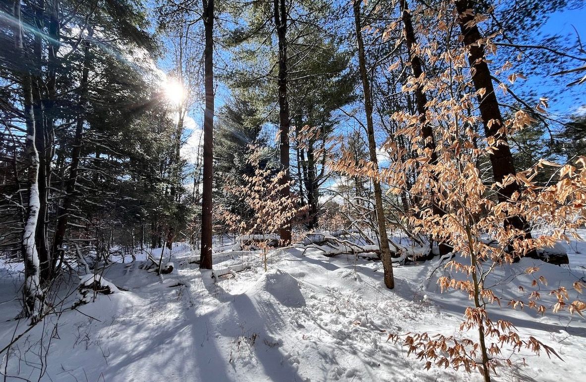 Oswego_10.76_Somberg Photo 1